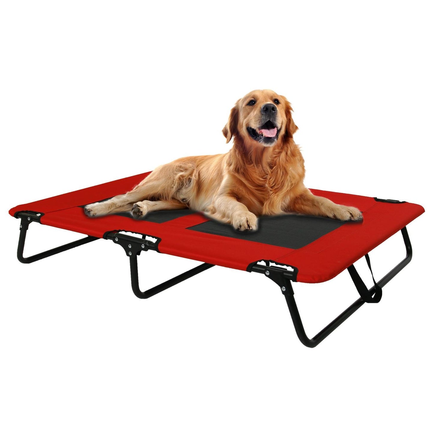 Folding Travel Dog Bed