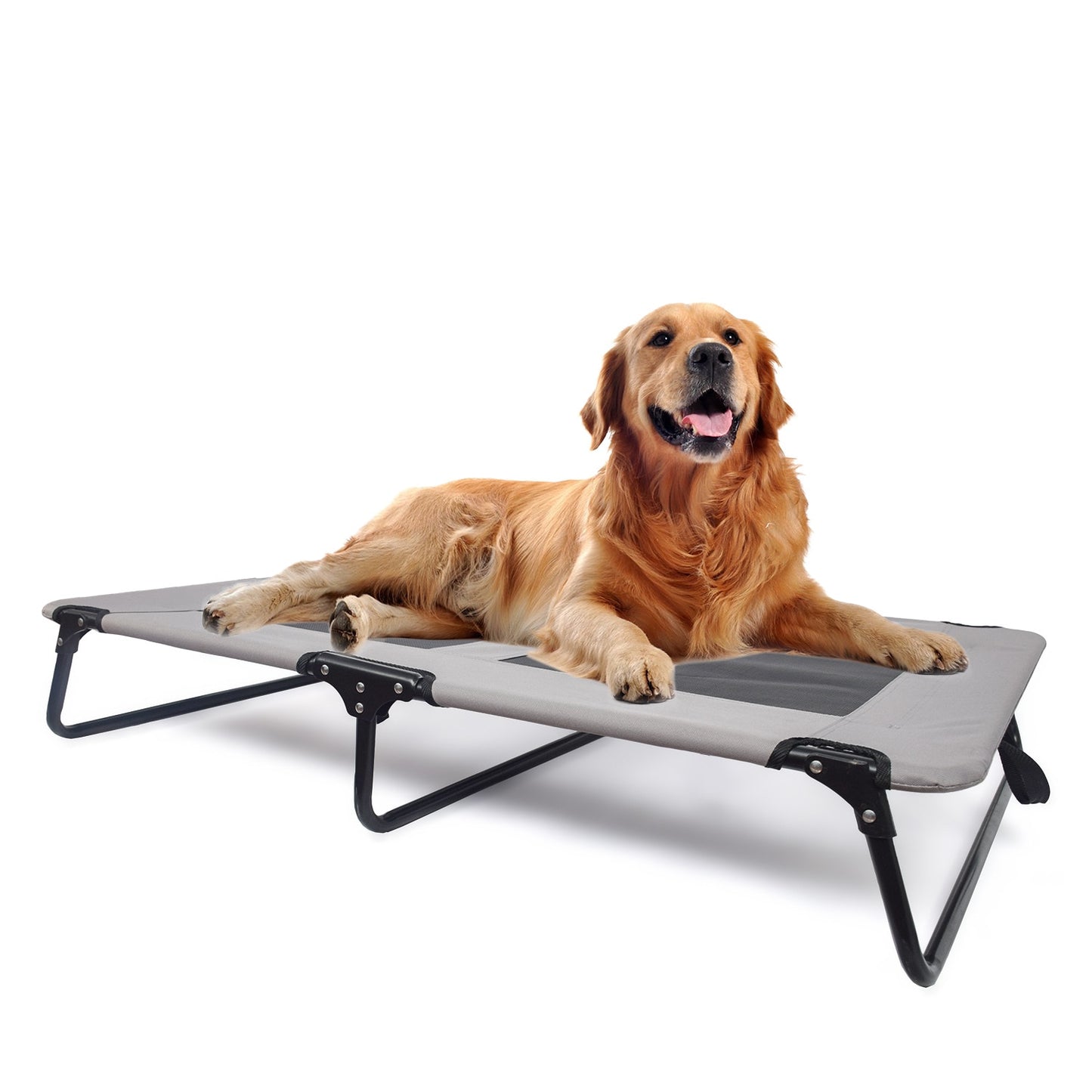 Folding Travel Dog Bed