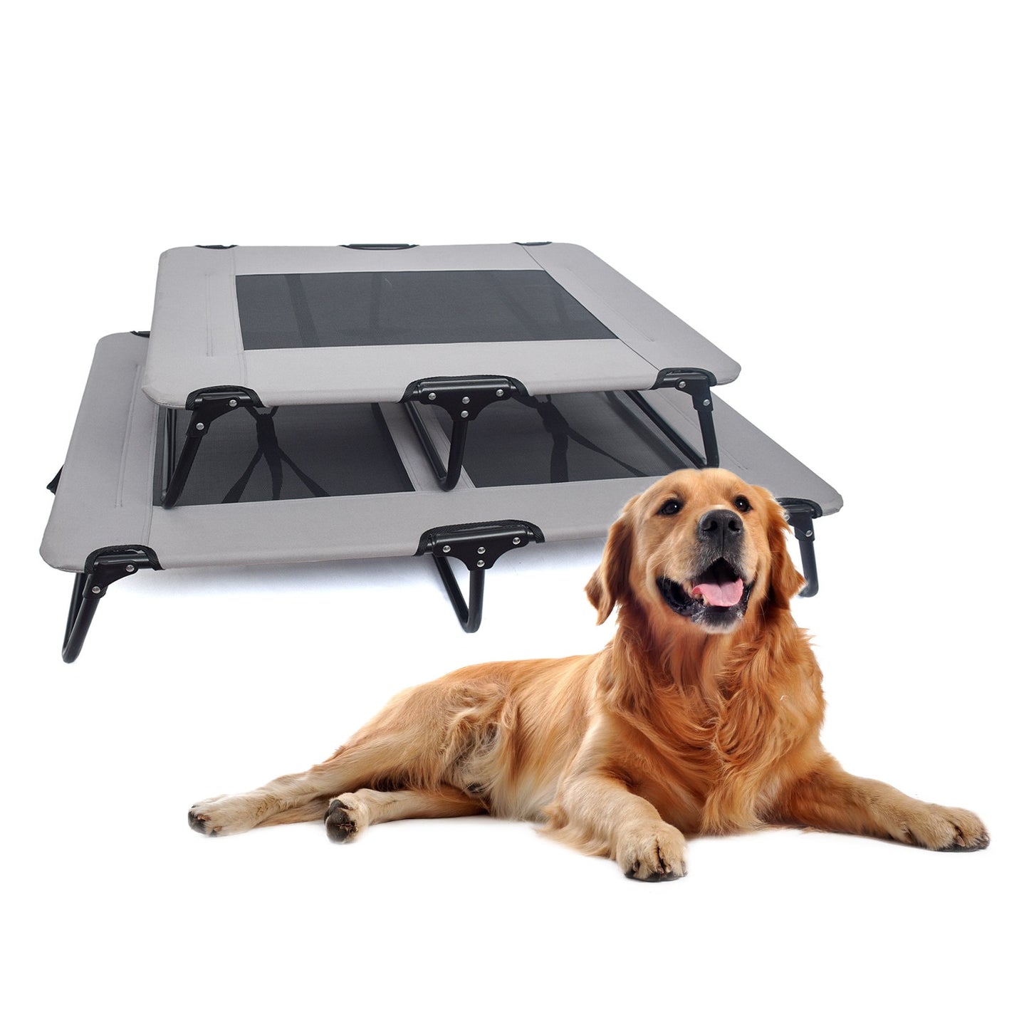 Folding Travel Dog Bed