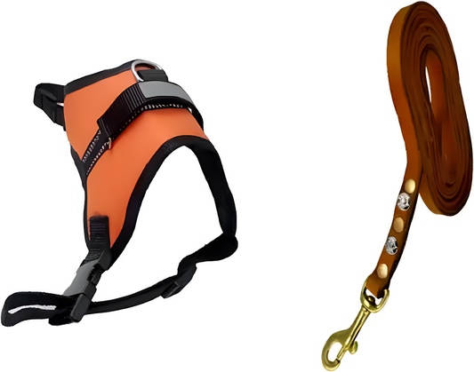 Reflect Leather Leash & Cat Buckle Harness For Dog (Pack Of 2) Size